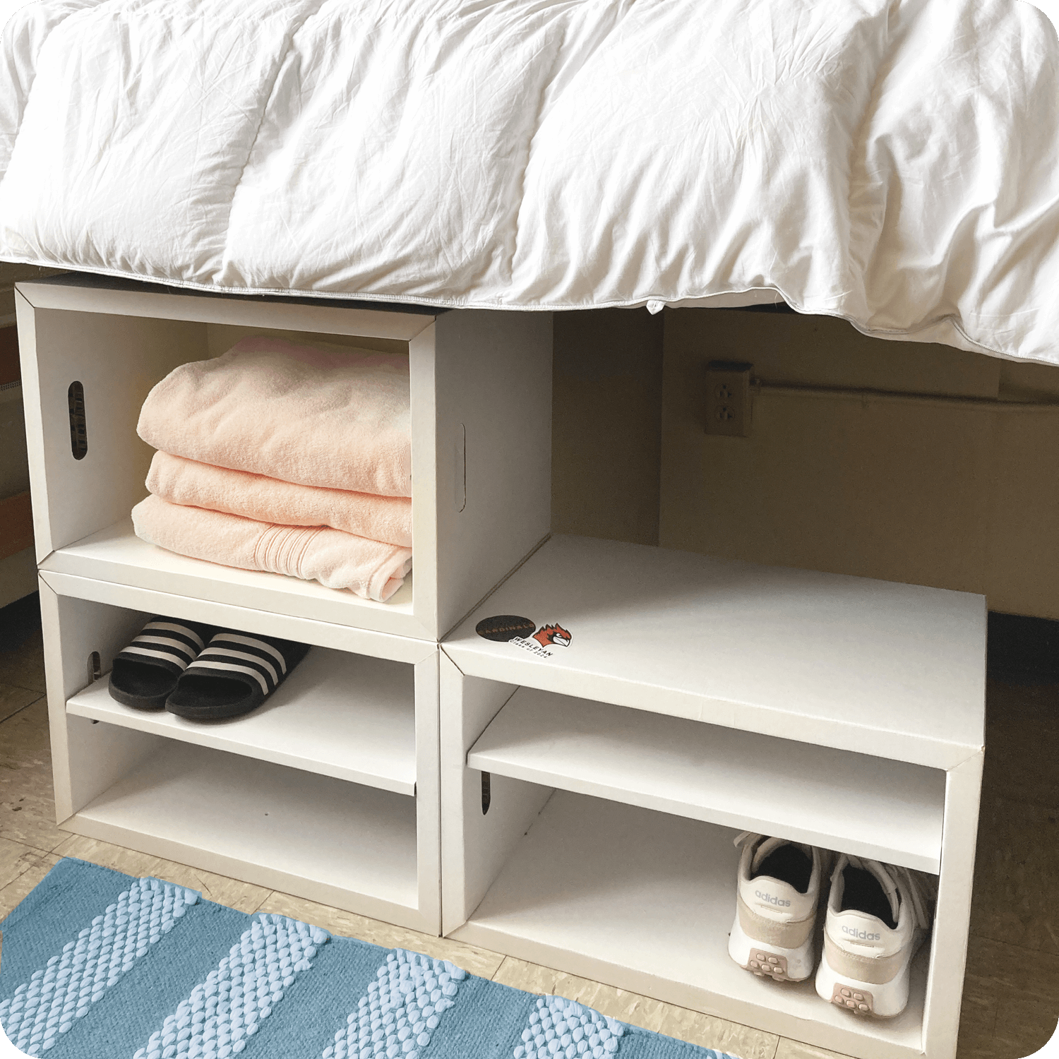 Underbed Storage Dorm 5