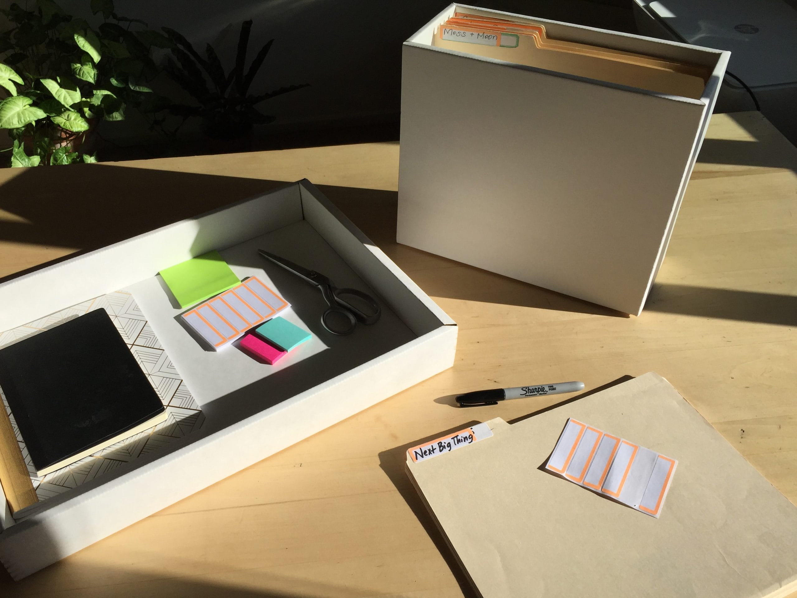 Paper Organization